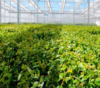 Formando <strong>futuro</strong>